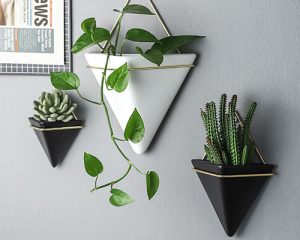 Ceramic Wall Hanging Planters