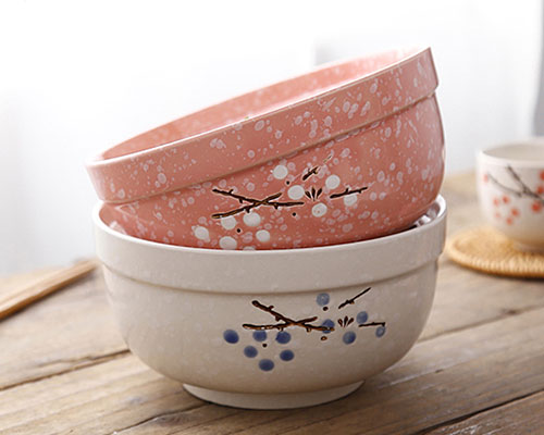 Best Ceramic Bowls