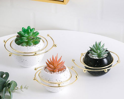 Ceramic Cactus Pots
