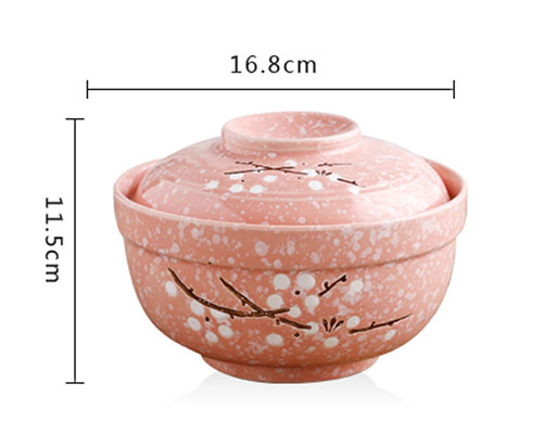 Ceramic Ramen Bowl With Lid