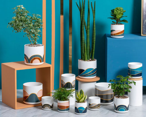 Round Ceramic Plant Pots