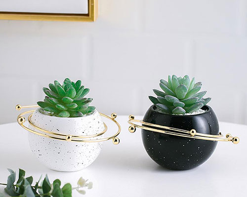 Small Ceramic Pots for Cactus