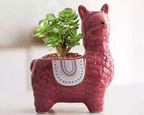Alpaca Ceramic Flower Pot