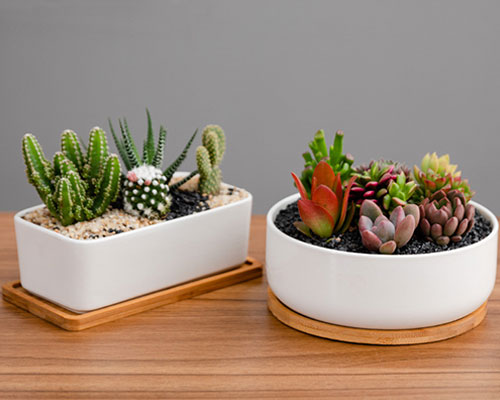Ceramic Plant Pot With Wooden Tray